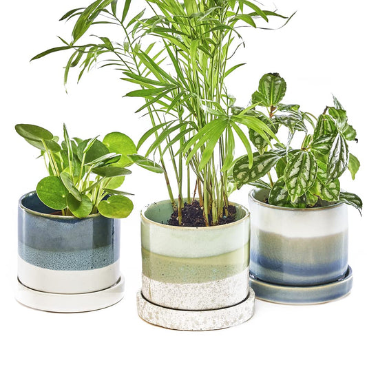 Chive ?Minute? Ceramic Plant Pots ? Cute, Beautiful Pots for Flowers & House Plants Indoor & Outdoor ? Set of 3 ? Green & Blue