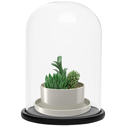 BELLE VOUS Glass Dome Cloche Bell Jar with Black Wooden Base - 30cm/11.81 Inches - Clear Decorative Tabletop Display Case with Tray for Fairy Lights,