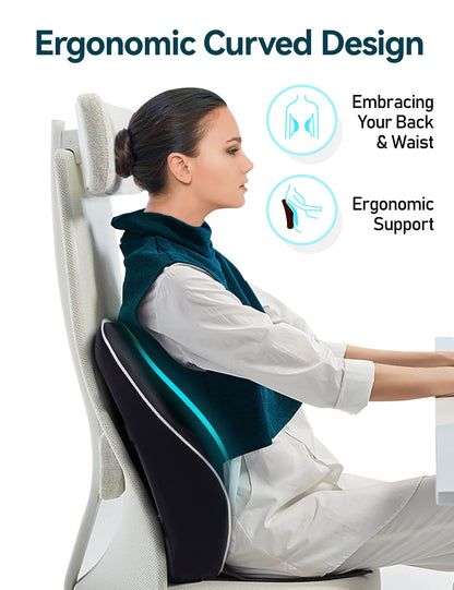 Travel Ease Ergonomic Lumbar Support Cushion, Memory Foam Back Support Cushion for Office Chairs with Skin-friendly Cover for Comfort (Black)