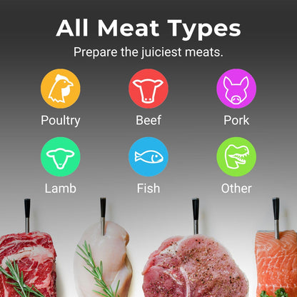 MEATER SE [NEW]: Smart Bluetooth Wireless Meat Thermometer Digital | 50+ Master Class Recipes in Free App | Internal & Ambient Temp | Ideal for Oven,