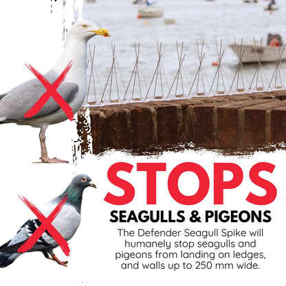 Defender Bird Spikes | Seagull Deterrent Kit | Install Guide & Glue | 3 Metre