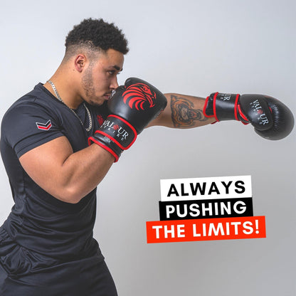 Valour Strike Boxing Gloves for Men Women Ladies | Set in Ounce 16oz 14oz 12oz 10oz 8oz for Pro Sparring Kickboxing MMA Muay Thai | EAGLE FORCE CV-10Z