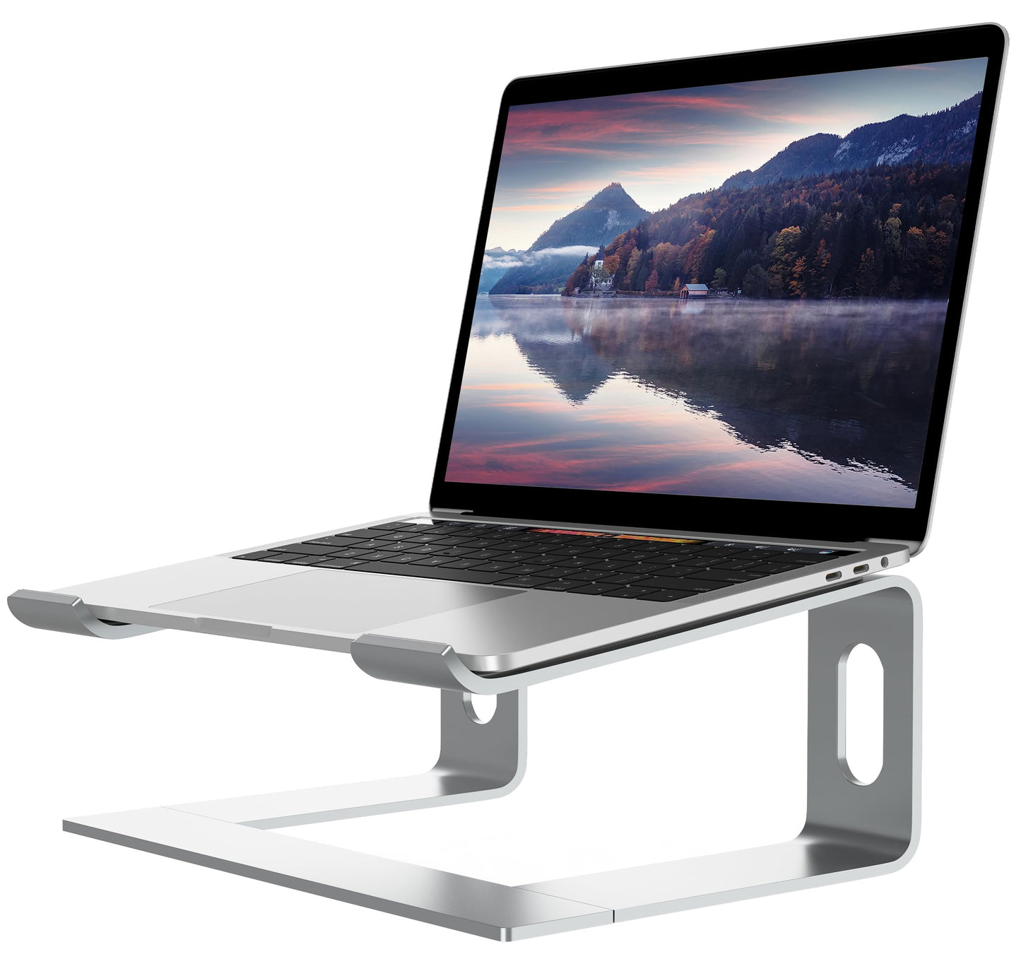 ALASHI Laptop Stand for Desk, Aluminum Computer Riser, Ergonomic Notebook Holder, Detachable Metal Laptops Elevator
