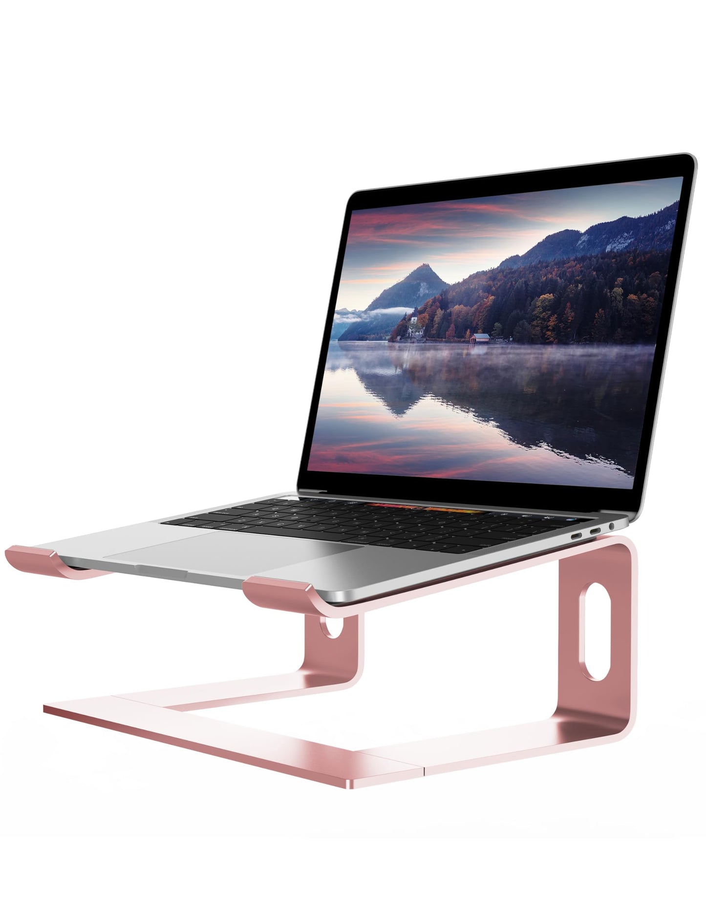 ALASHI Laptop Stand for Desk, Aluminum Computer Riser, Ergonomic Notebook Holder, Detachable Metal Laptops Elevator