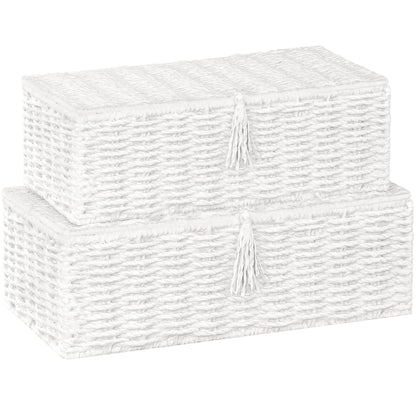 Vagusicc Storage Boxes with Lids, Handwoven Set of 2 Wicker Storage Baskets for Organizing, Nesting Storage Basket for Shelves