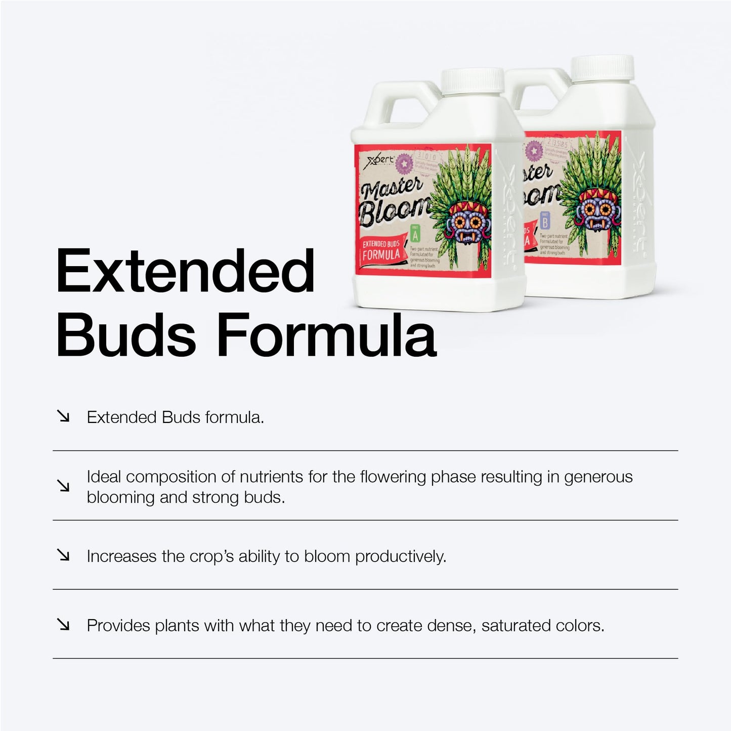 Xpert Nutrients Master Bloom A+B (5L) - Basic Bloom Fertilizer for the Flowering Phase of Plants, Universal Bloom Nutrition, Liquid Plant Nutrient,