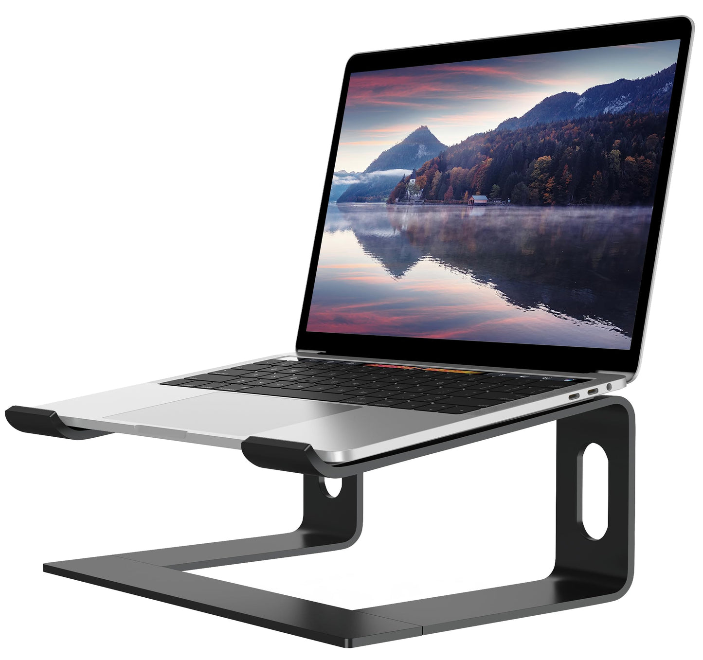 ALASHI Laptop Stand for Desk, Aluminum Computer Riser, Ergonomic Notebook Holder, Detachable Metal Laptops Elevator
