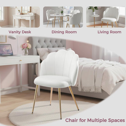 Eufurnibi Velvet Shell Chair with Gold Legs, Vanity Chair for Bedroom Dressing Table, White Upholstered Accent Chair for Living Room