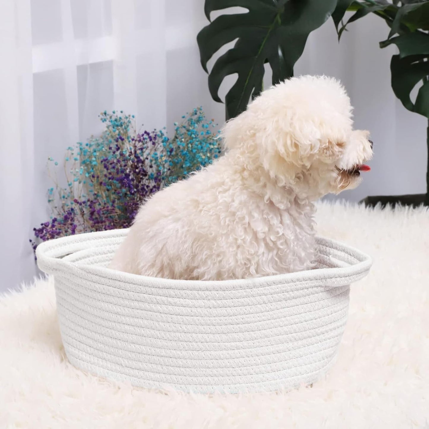 Woven Basket, White Rope Storage Basket with Sturdy Handles, Woven Storage Basket for Home Organisation, 30 x 20 x 12 cm