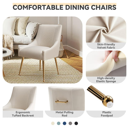 SEYNAR Modern Dining Chairs, Velvet Upholstered Dining Room Chairs with Gold Legs,Tufted Accent Chair Set of 2 for Reception Room Living Room Study