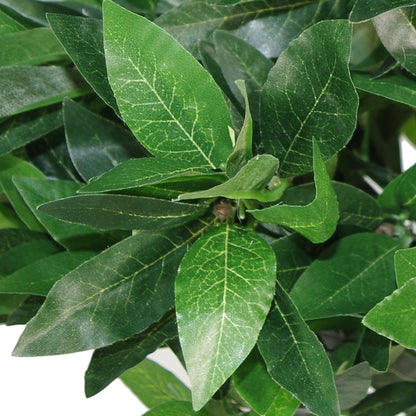 Leaf Design UK Artificial Bay Laurel Topiary Ball Tree, Green, 120cm (4ft)