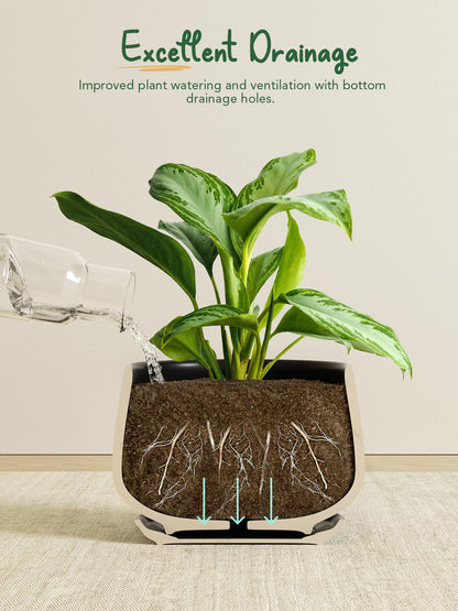 LE TAUCI Plant Pots, 10+13+16 cm Planters, Set of 3 Ceramic Planters with Drainage Hole and Saucer, Indoor Plant Pot with Hole Mesh Pad, Gifts for