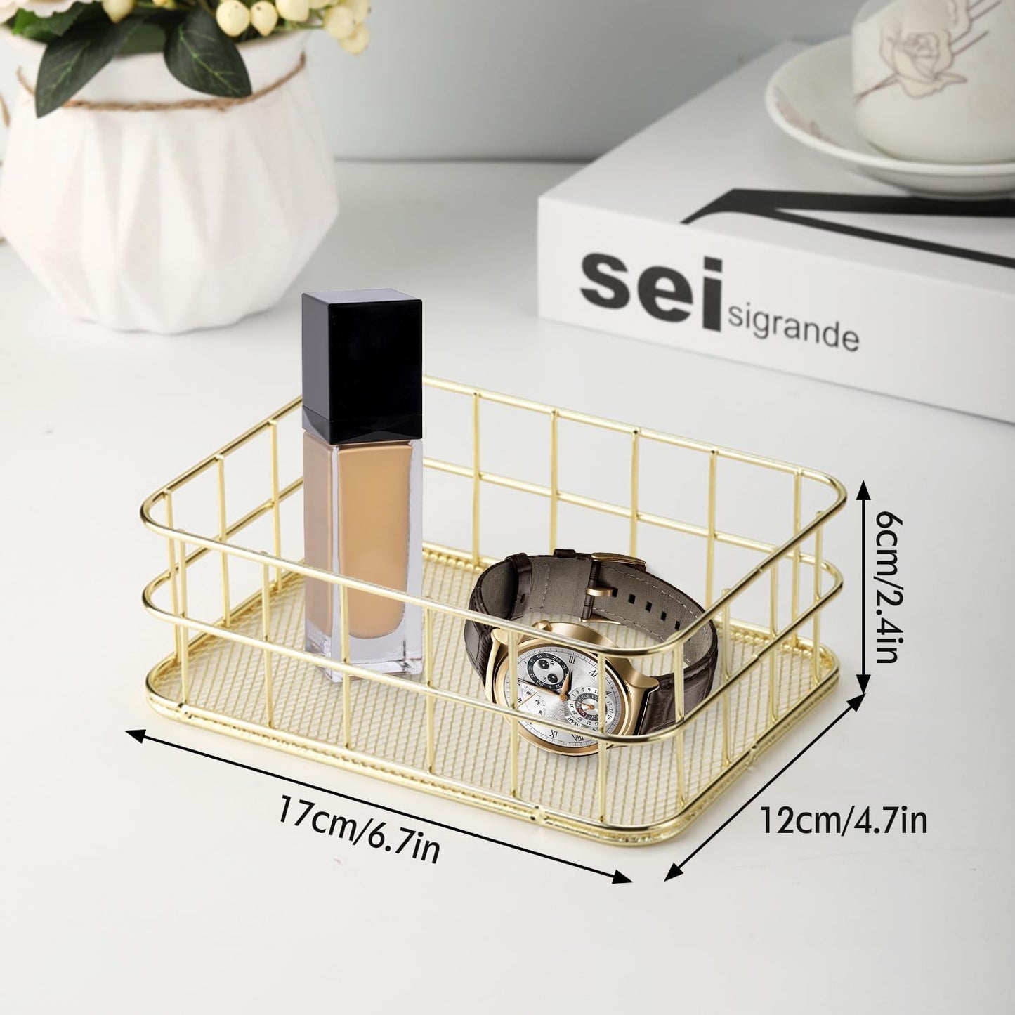 Hapivida 2 Pcs Wire Storage Basket, 17x12x6cm Golden Desktop Metal Storage Basket Iron Grid Storage Tray Net Organizer Bins for Kitchen, Pantry