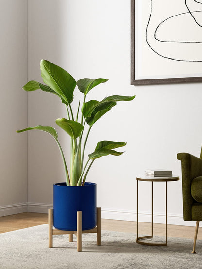 LE TAUCI 15+20+25 cm Plant Pots Set, Ceramic Planters for Indoor Plants, Mid-Century Modern Flower Planter Pots with Drainage Hole and Plug, Cylinder