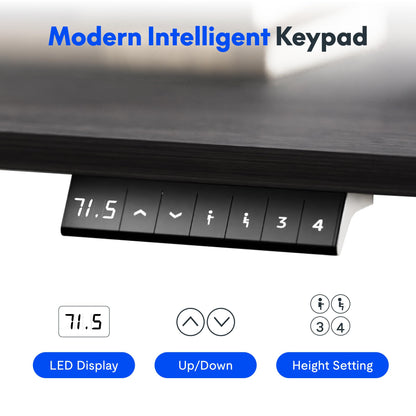 FLEXISPOT ONE PIECE Electric Standing Desk Height Adjustable Sit Stand Up Desk with Memory Smart Panel (Black Frame+120x60cm Black Desktop)