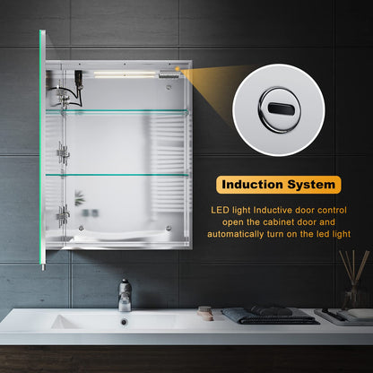 ELEGANT Wall Mounted Bathroom Cabinet - 500 x 700mm, Stainless Steel, Soft Close, Illuminated, Touch Switch, Dimmable, Defogger