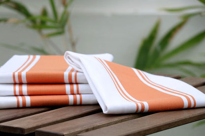 AMOUR INFINI Classic Vintage Stripe Kitchen Dish Towels | 4 Pack | 50 x 70 cm | Multi-use Kitchen Towels With Hanging Loop |100% Ring Spun Premium