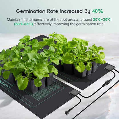 Luxbird 2 Pack Seedling Heat Mats with Digital Thermostat Controller, 10" x 20.75" Waterproof Plant Heating Mats Combo, for Seed Starting,