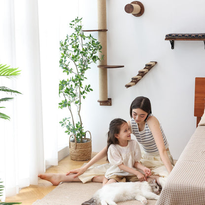 FUKUMARU Cat Hammock Wall Mounted Large Cats Shelf - Modern Beds and Perches - Premium Kitty Furniture for Sleeping, Playing, Climbing, and Lounging -