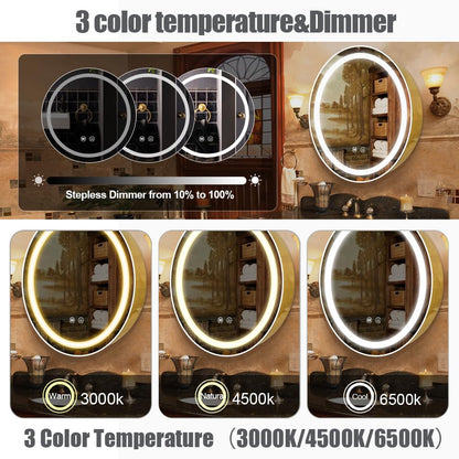 Janboe 61cm Round Mirror Cabinet with Lights,with Defogger,Dimmable,Anti-Fog,3 Colors,Gold