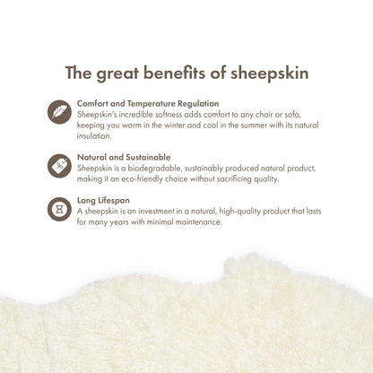 Nordic Sheep Real Sheepskin rug Short Hair 90x60 cm | Bedside rugs for bedrooms, sofa, chair or dining table | Each Sheepskin is unique and created by