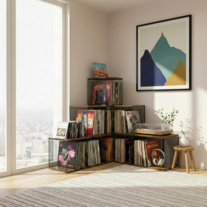Kryntex Vinyl Record Storage Cube, Stackable Wooden LP Album Holder Fits 80–110 Records, Metal Frame Record Organiser Box for Home