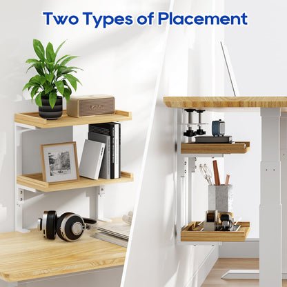 THYGIFTREE Clamp On Desk Shelf 2-Tier, Desk Extender Accessories for Office Gaming Accessories, Tabletop Book Storage Rack