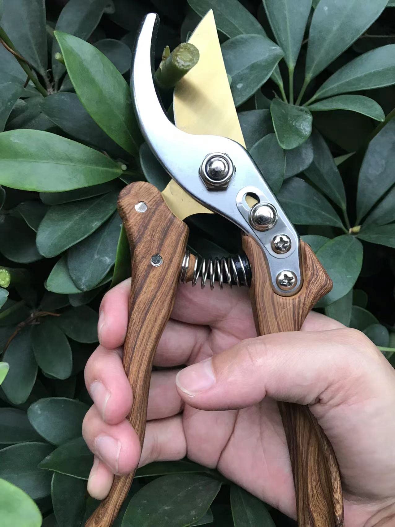 Horsvill Garden Shears, Pruning Scissors Made of Japanese SK4 Steel Blades, Garden Secateurs for Heavy Duty, Garden Snips and Flower Plants Clippers,