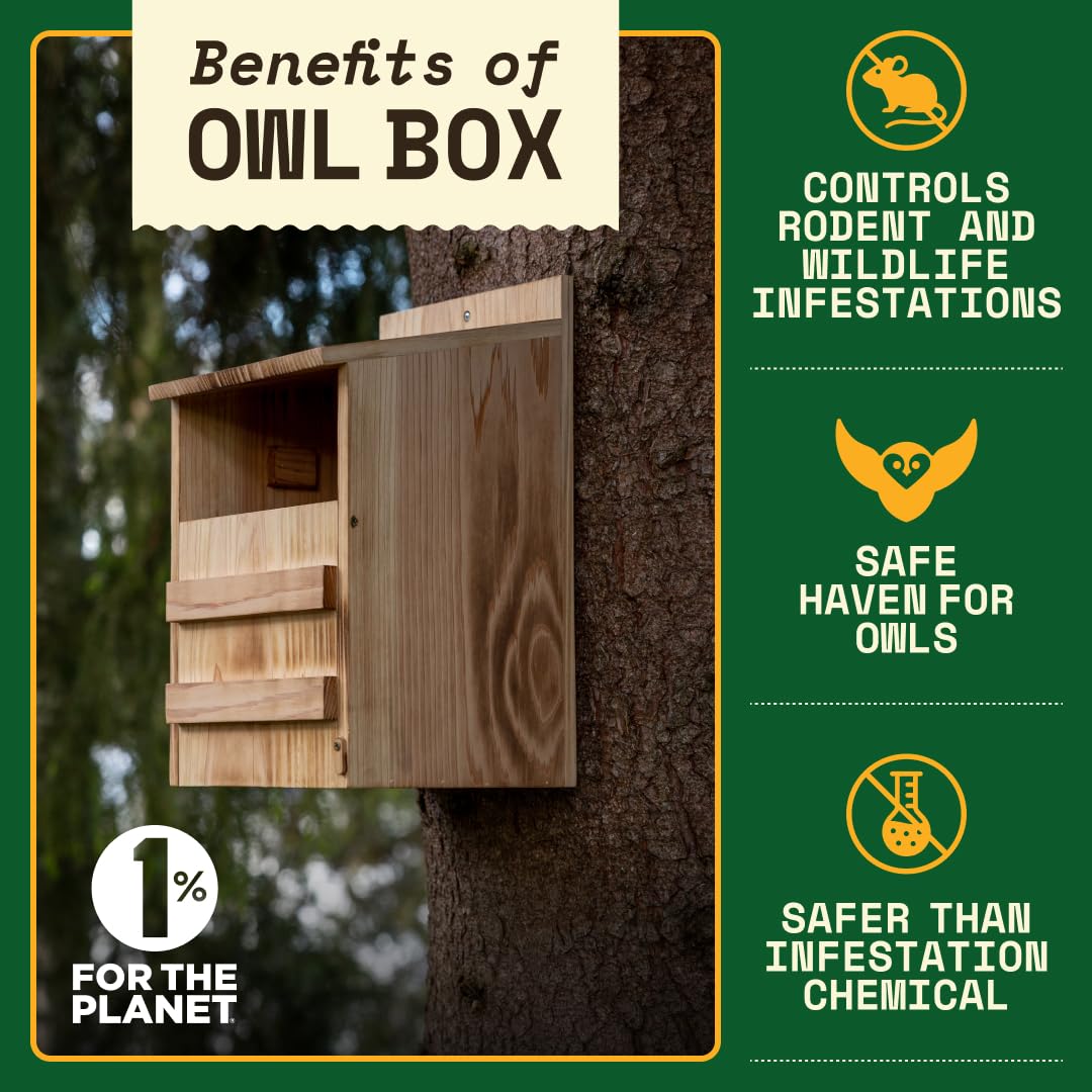Owl House Cedar - Easy to Hang - Prebuilt Nesting Box for Barn & Screech Owls - Cedar Shavings & Screws Included