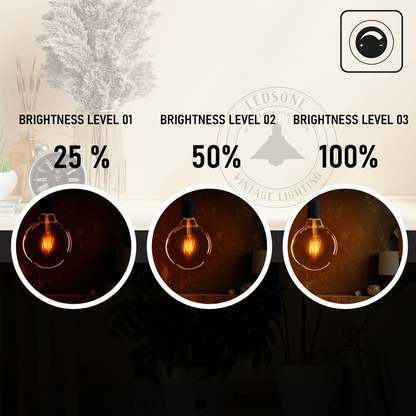 5 Pack E27 LED Edison Dimmable Vintage Amber Glass Warm white 2700K Light Bulbs