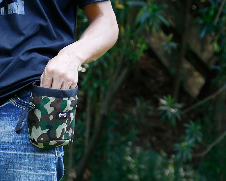 Multi-function camouflage pet package