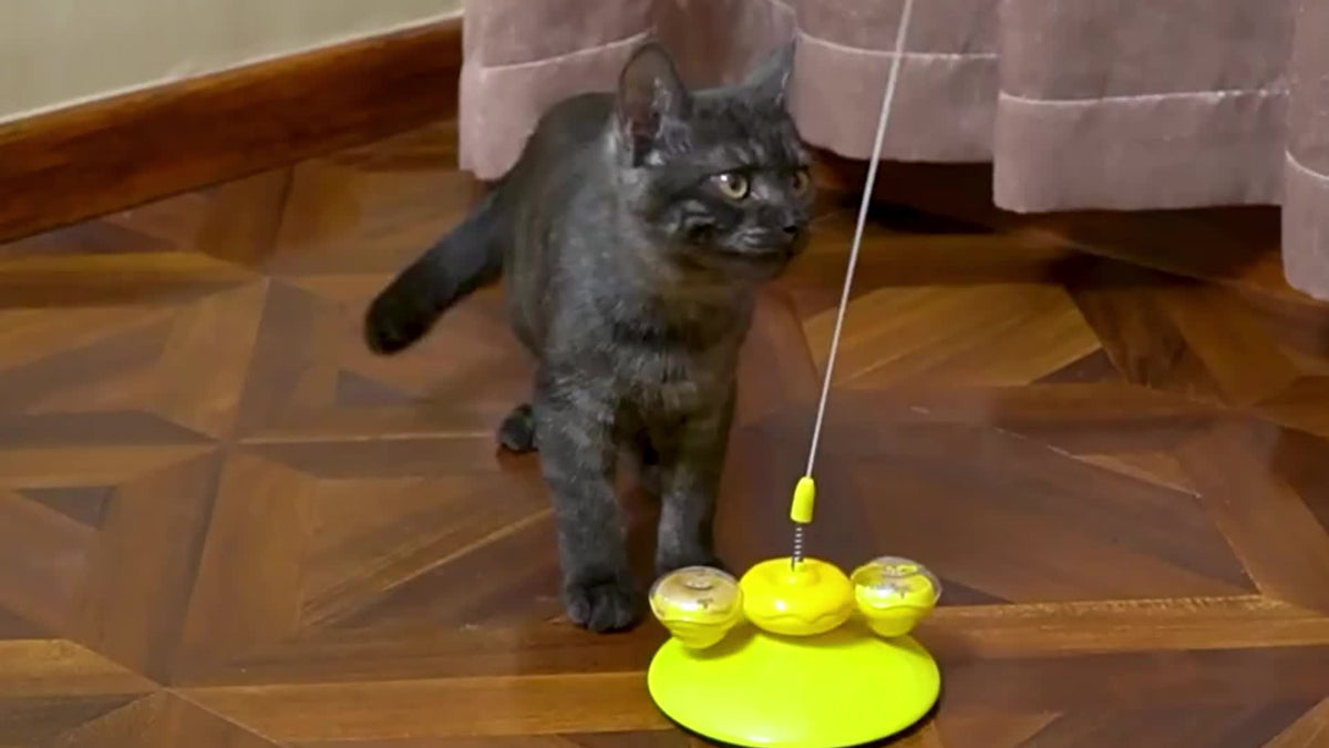 Cat Stick Cat Toy Ball