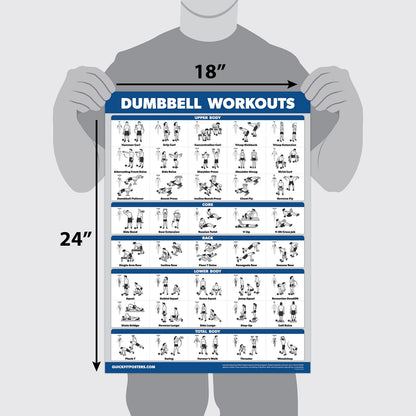Palace Learning 16 Pack - Exercise Poster Set: Dumbbell, Suspension, Kettlebell, Resistance Bands, Medicine Ball, Battle Rope, Stretching, Bodyweight,