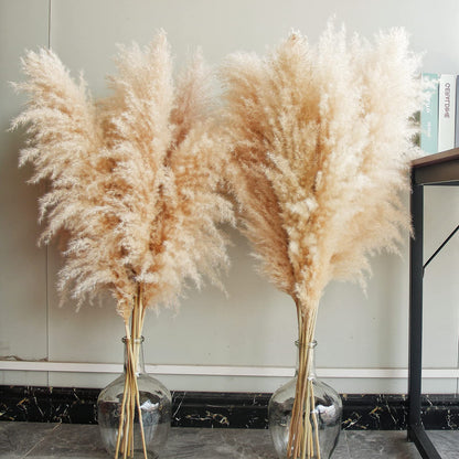 Bannifll 46-inch Natural Pampas Grass Decor Tall with 10 Stems. Perfect for Weddings, Parties, Farmhouse, and Boho Home Decor.