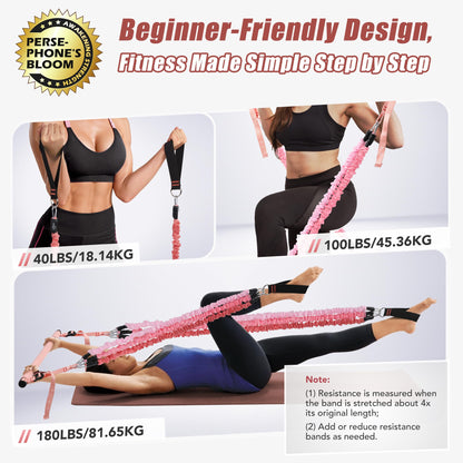 ALongSong Pilates Equipment Pilates Reformer With 6 Resistance Bands 20/30/40lbs Anti-Snap Protection For Home Gym Workout Yoga Twisting Squat