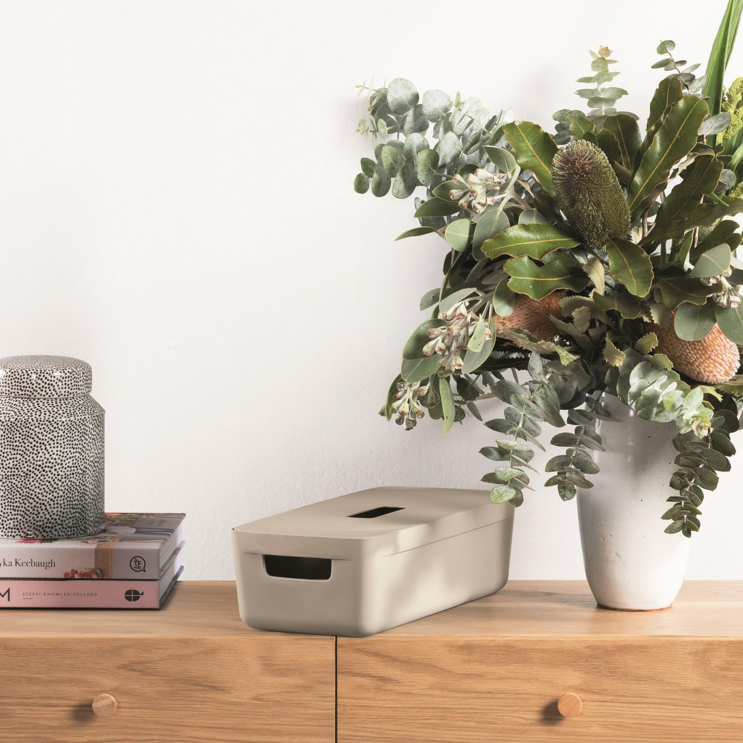 IDEA HOME Plastic Storage Box with Lid - Storage Boxes - Storage Organiser - Really Useful Boxes for Storing Various Items in the Living Room
