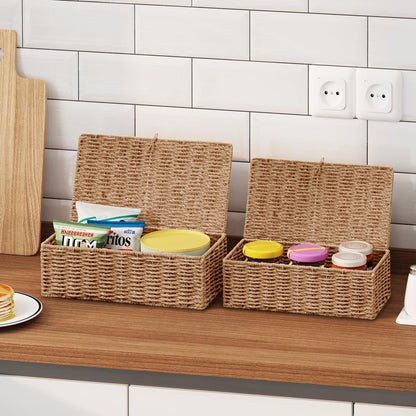 Vagusicc Storage Boxes with Lid, Handwoven Set of 2 Wicker Storage Baskets for Organizing, Nesting Storage Basket for Shelves