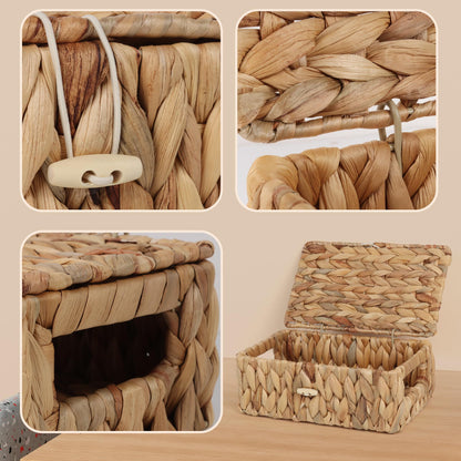 FEIALNDUO Wicker Shelf Baskets with Lid, Seagrass Storage Hamper Basket Bins Rectangular Box for Home Desktop Organizer (Natural, X-Small)