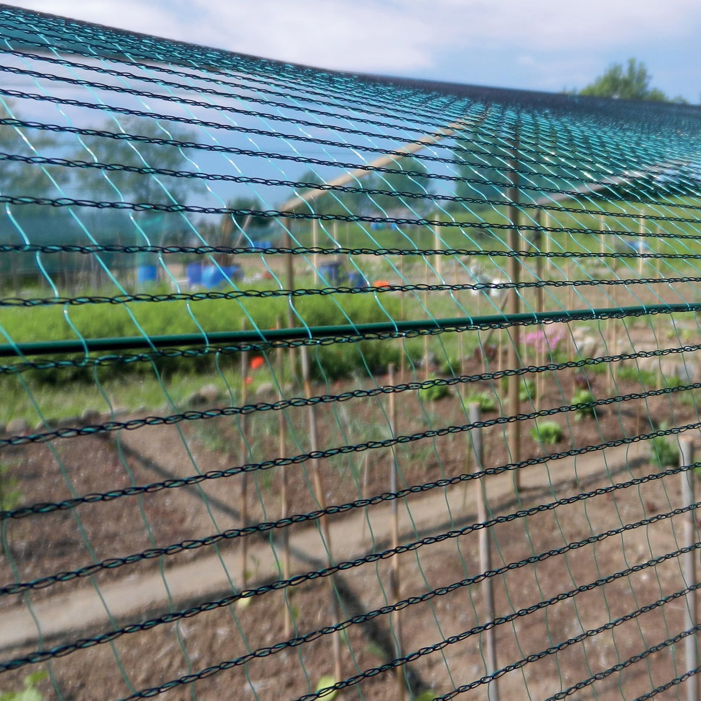 Tenax Defender Fabric Anti-Hail Net 4x10 m, Green, 4 x 10 m