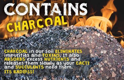 High Drainage Cactus Soil Potting Mix with Mycorrhizal Fungi - 8 Pounds / 4 Quarts of Soil for Succulents and Cactus - Slightly Acidic, Gritty Soil