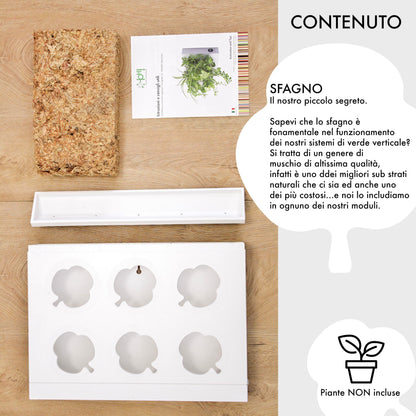 Ortisgreen HOH, Indoor and Outdoor Wall Mount Hanging Multi Plant Pot In White (ABS Plastic) with Natural Substrate and Instruction Included, Hanging