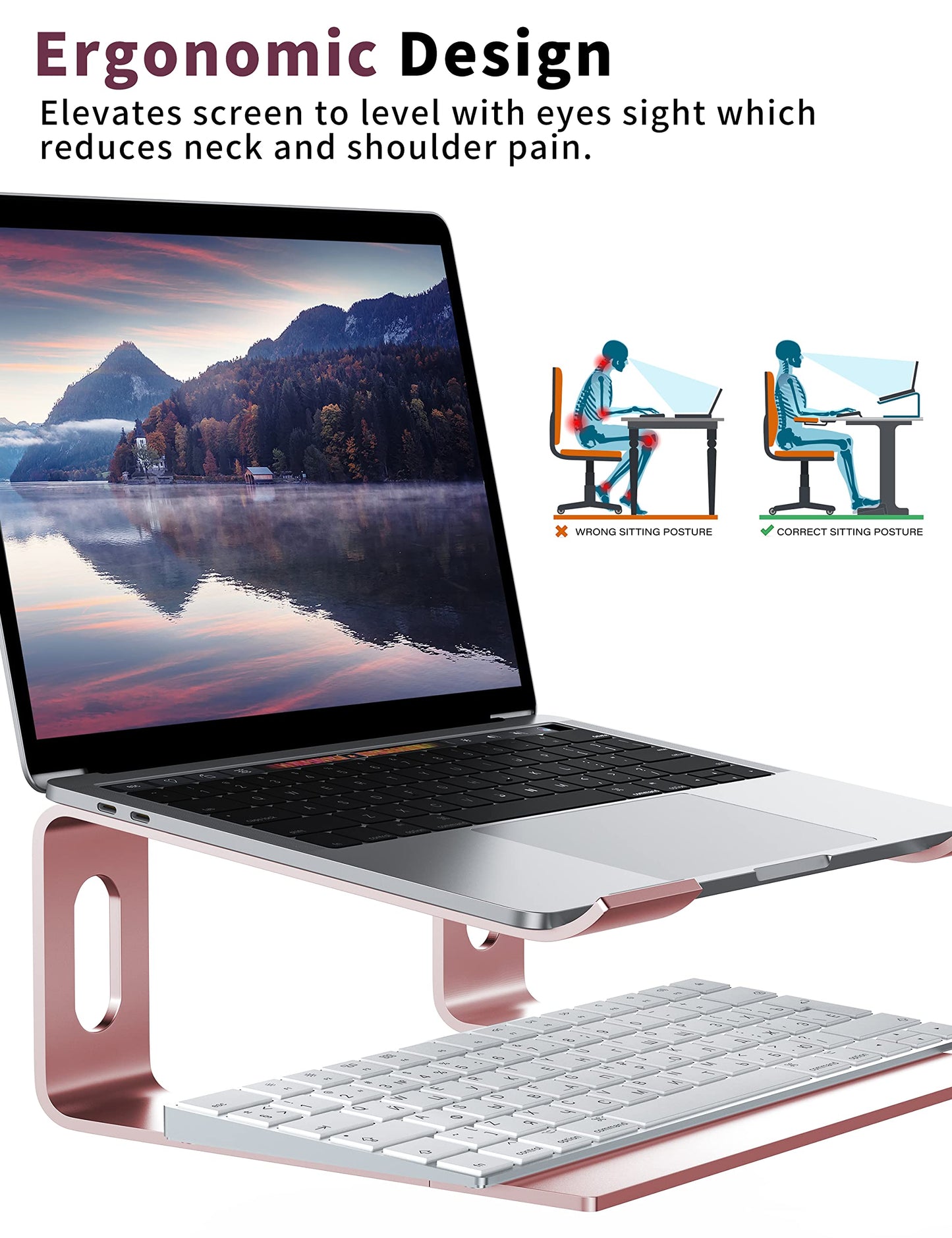 ALASHI Laptop Stand for Desk, Aluminum Computer Riser, Ergonomic Notebook Holder, Detachable Metal Laptops Elevator