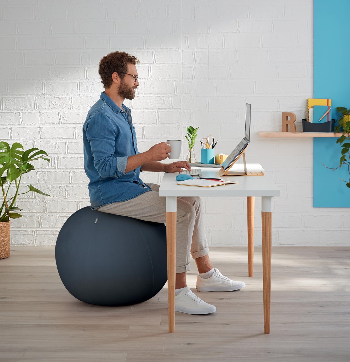 Leitz Active Sitting Ball, Ergonomically Designed Desk Chair Alternative, 65cm Diameter, Includes Fabric Ball Cover, Hand Air Pump & 2 x Plugs, Ergo