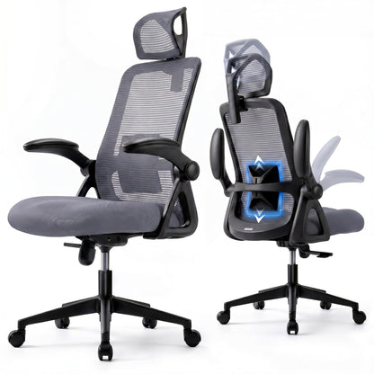 Realm of Thrones Mesh Ergonomic Office Chair, Back Support and Long Hours