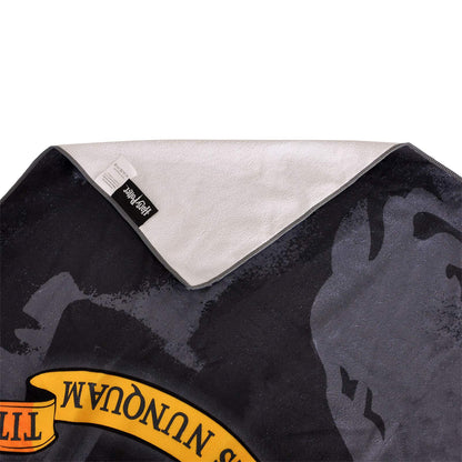 Elbenwald Harry Potter Beach Towel with Hogwarts Houses Coat of Arms Motif 90x180cm Gray