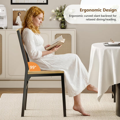 Feonase Dining Chairs Set of 4, Dining Room Chairs with 2 Ergonomic Chairs & 2 Benches, MDF Board and Metal Frame, Kitchen Chairs for Home, Apartment
