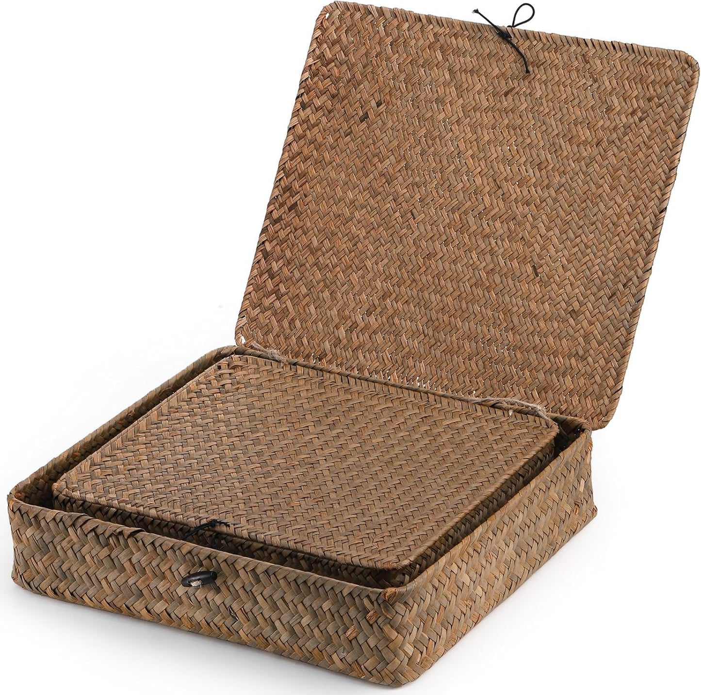 Elsjoy 2 Pack Seagrass Storage Box with Lid, Wicker Storage Baskets Flat Rattan Storage Bins, Woven Organizer Baskets for Shelf, Closet, Bedroom