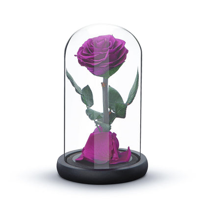 Eternal Forever Rose | Fresh Rose Gift | Single Rose Preserved for 5 Years | Handcrafted | Gifts for Women Birthday unique Unusual | Mothers Day,