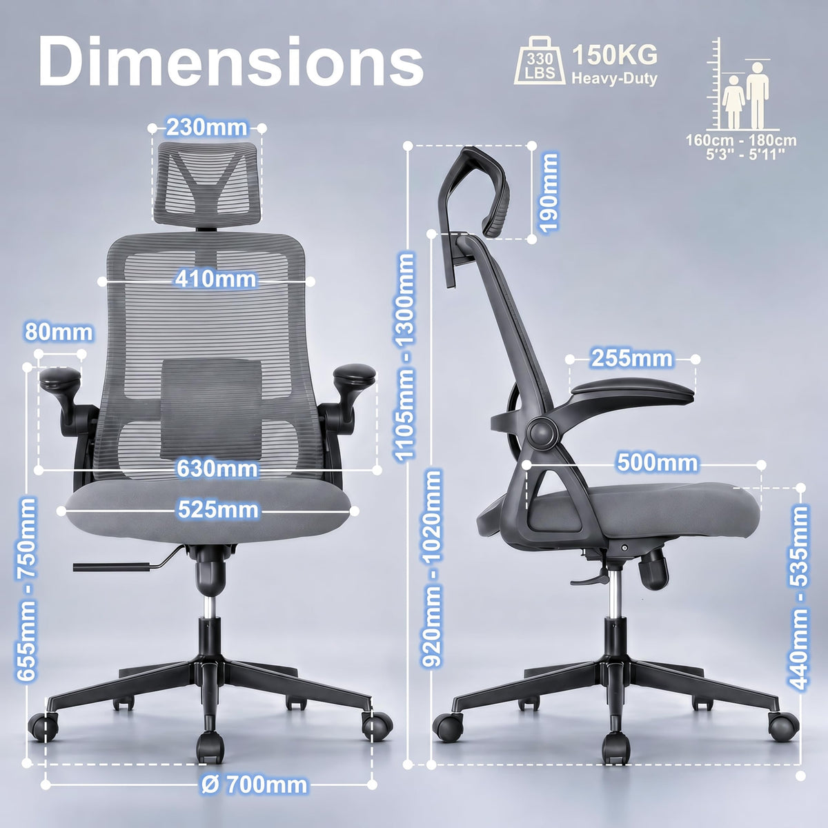 Realm of Thrones Mesh Ergonomic Office Chair, Back Support and Long Hours