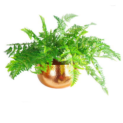 Leaf LEAF-7304 Large Metal Planter 32 x 20cm Hammered Copper Colour-Straight Edge